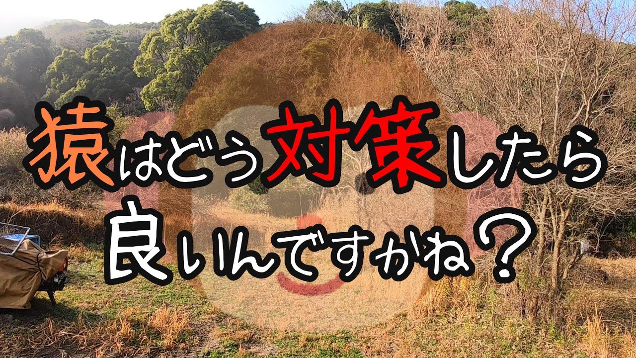猿を追い払う！