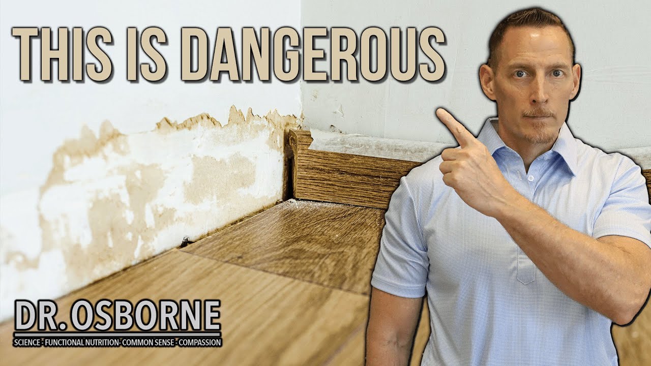 STOP Ignoring Mold Exposure in Your Home!