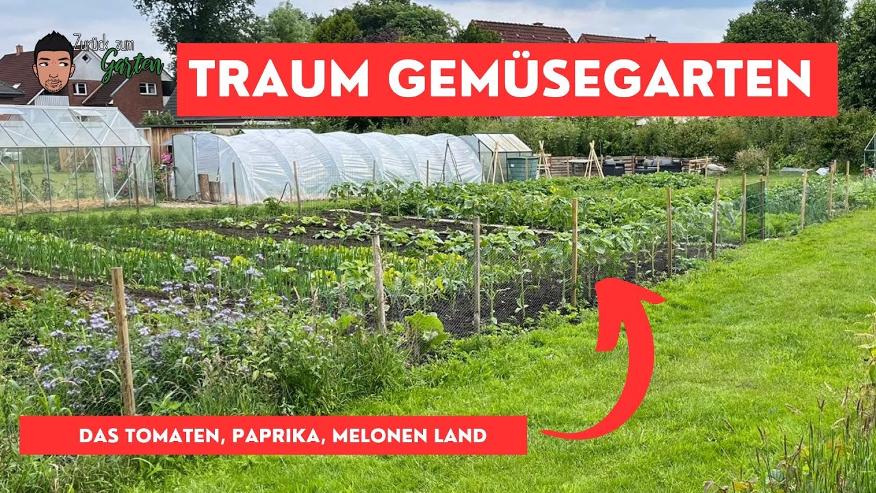 Mega Gemüsegarten - 2000qm² Wahnsinn bei Felix Hobbygarten