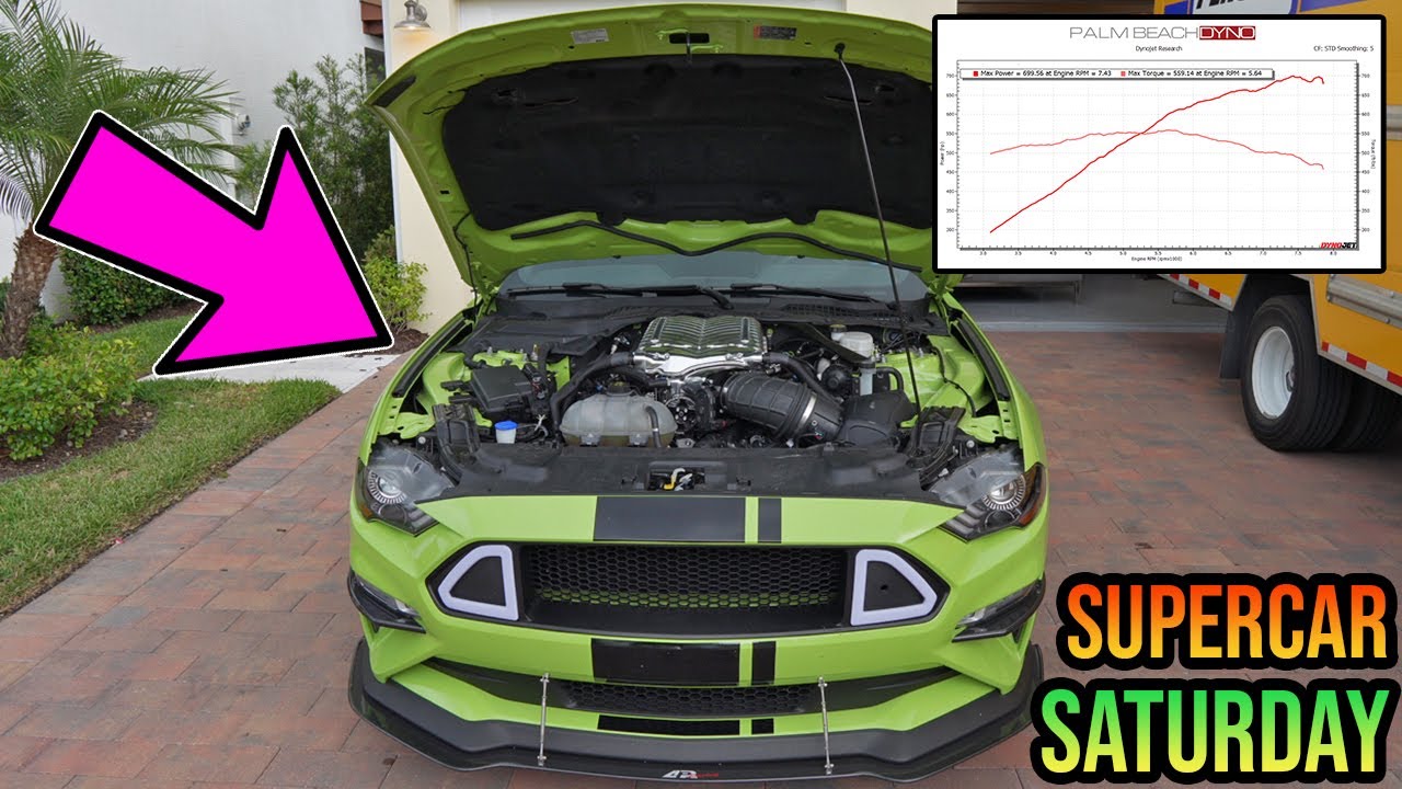 700 WHEEL HORSEPOWER MUSTANG GT SHOWS OUT AT SUPERCAR SATURDAY & TIK TOK VS YOUTUBERS FIGHT #SALLY
