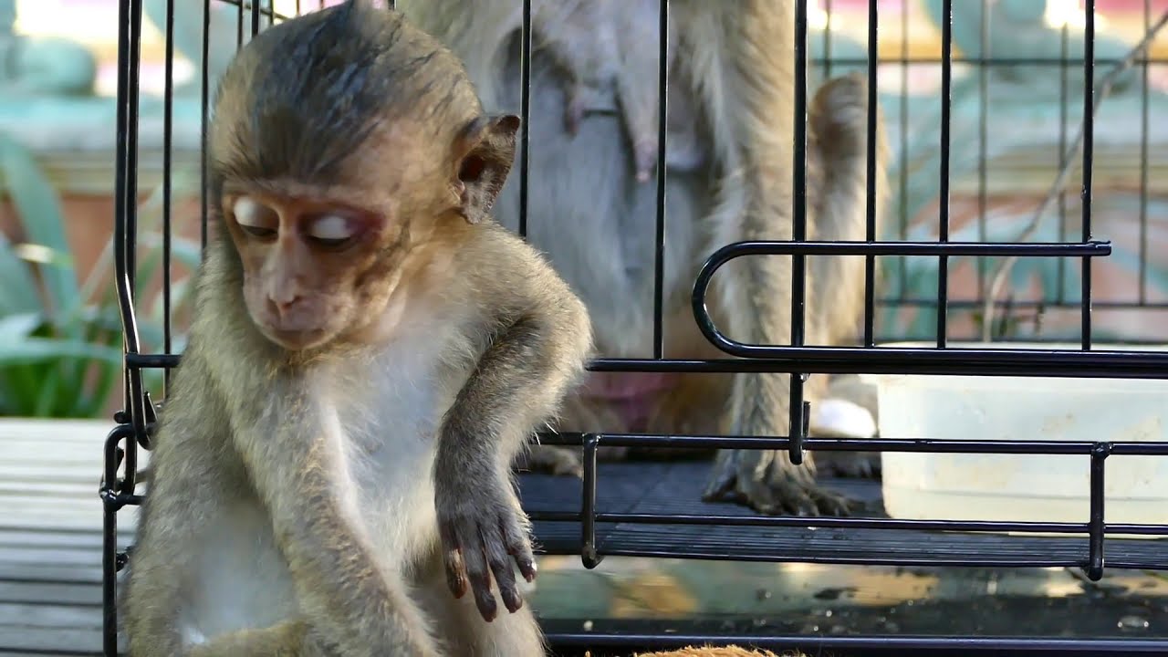 Update! Lori & Amari Lost conscious and not recognize her baby  Lori.