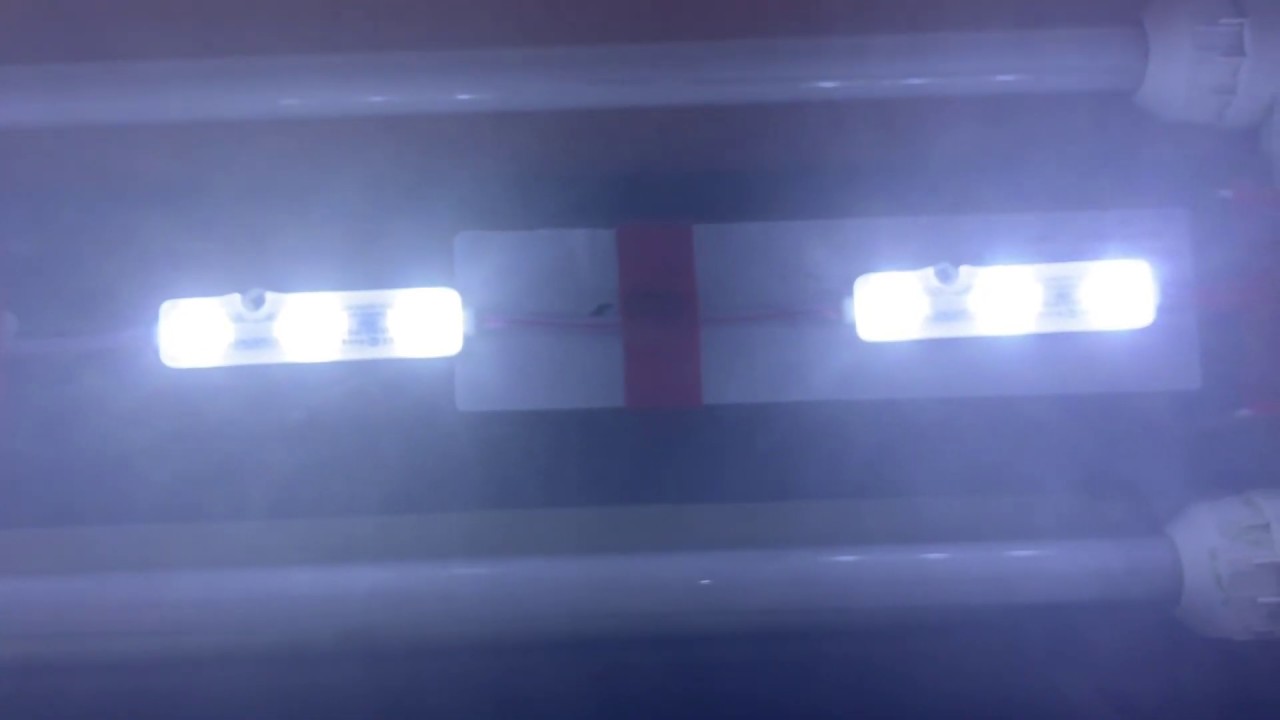 Malawisee Cichliden: #2019 Juwel Lido 120 mit Samsung LED Module ersetzen.