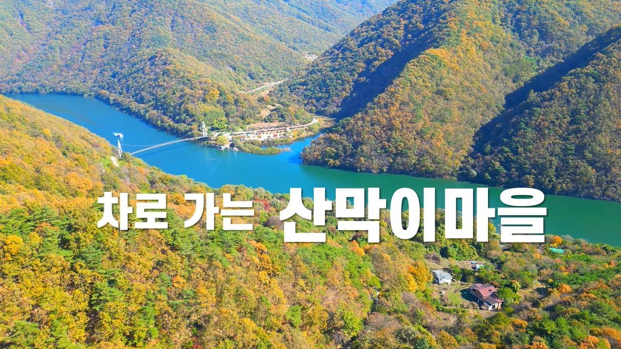 단풍나무 터널이 이어지는 산막이 마을 가는 길