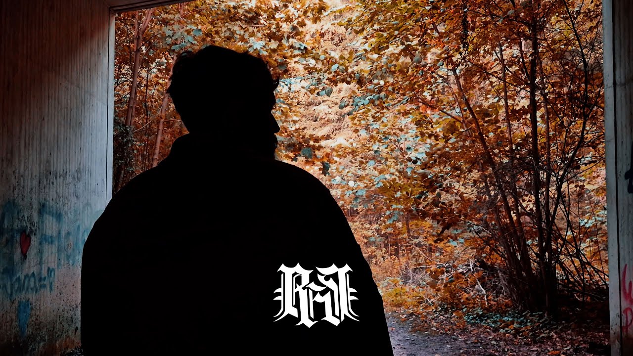 MiZeb - LAUB (prod. by cronsenbeatz)