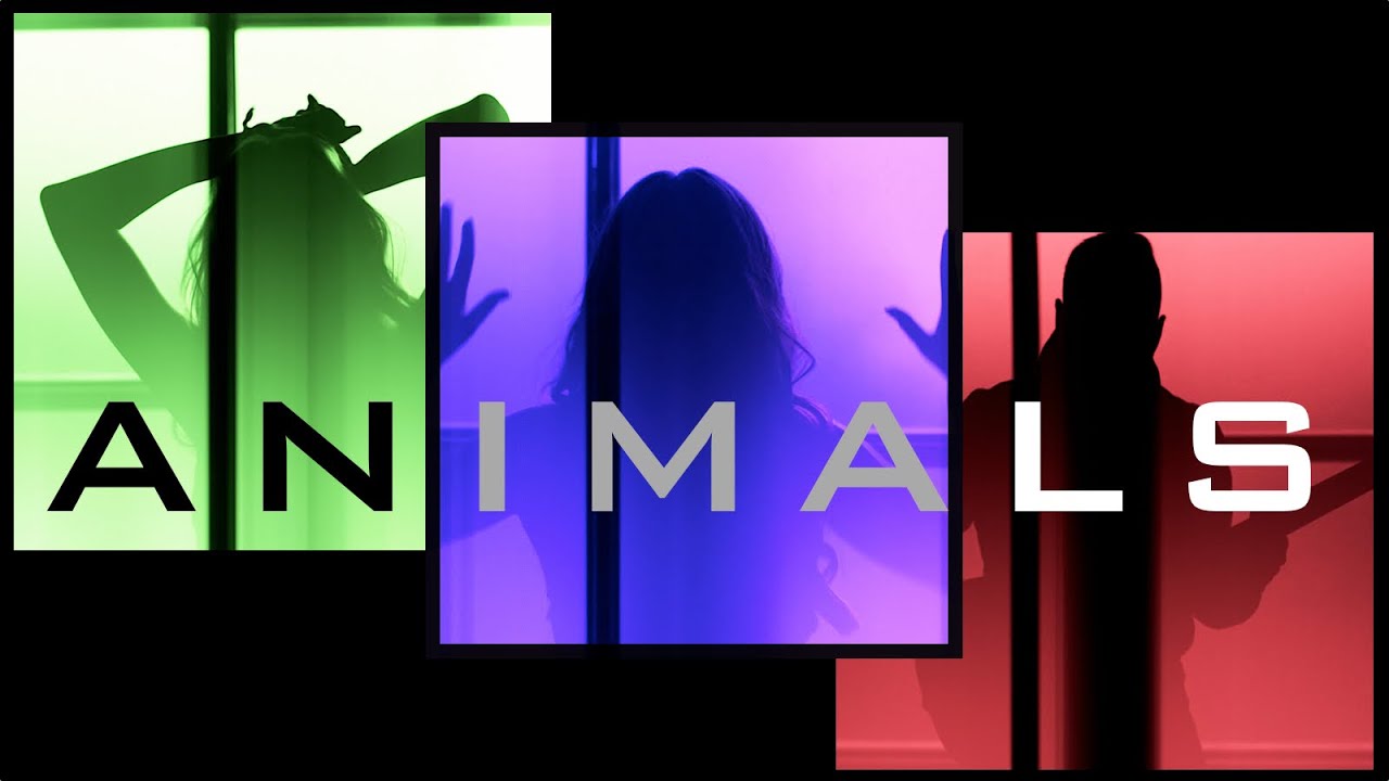 Animals - Maroon 5 | Ali Brustofski & PopGun Cover (Music Video)