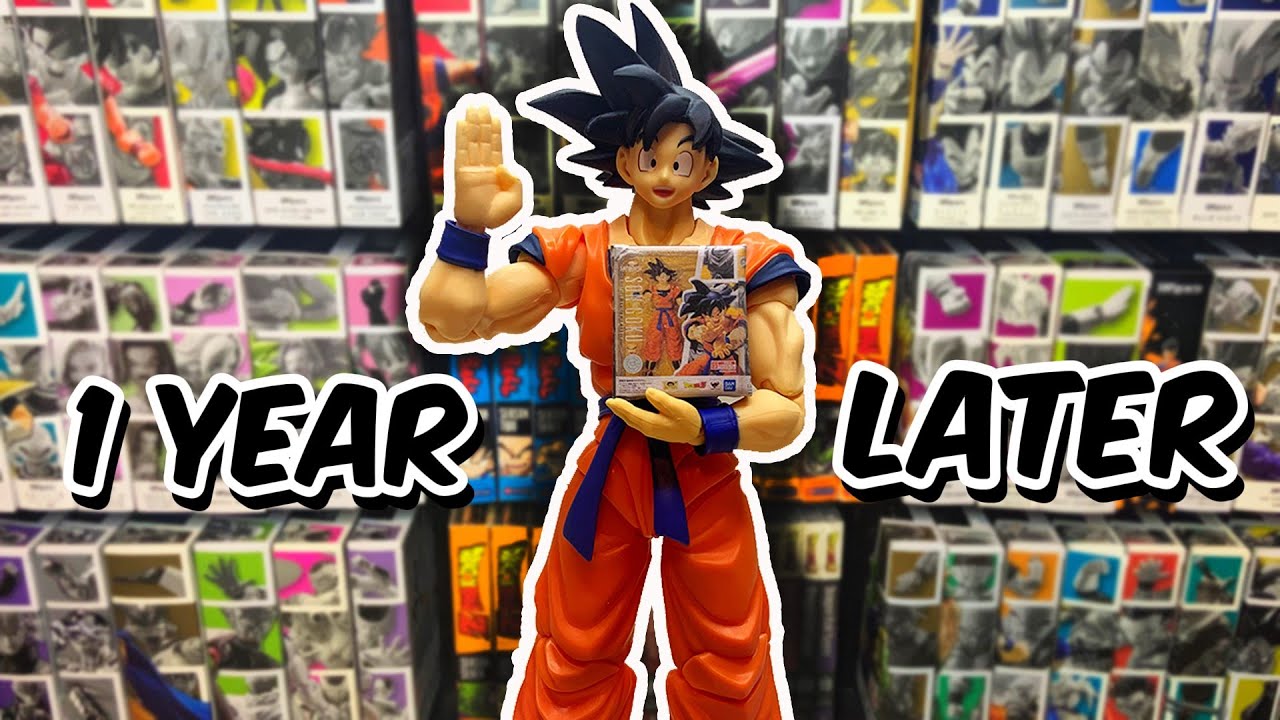 My Dragon Ball SH Figuarts Collection 1 Year Later