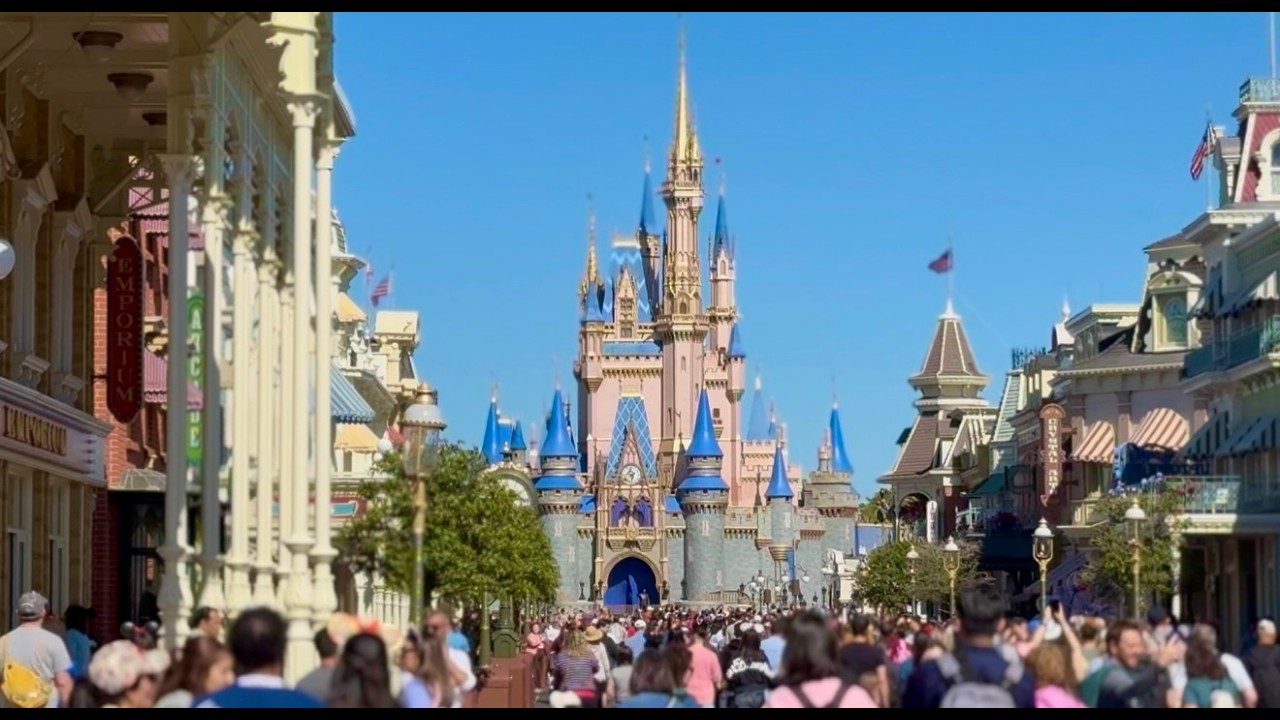 magic kingdom
