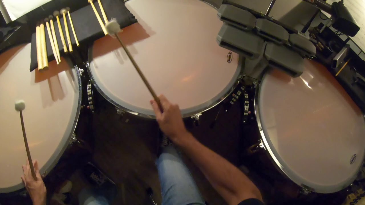 Dave Roth, Percussionist - 