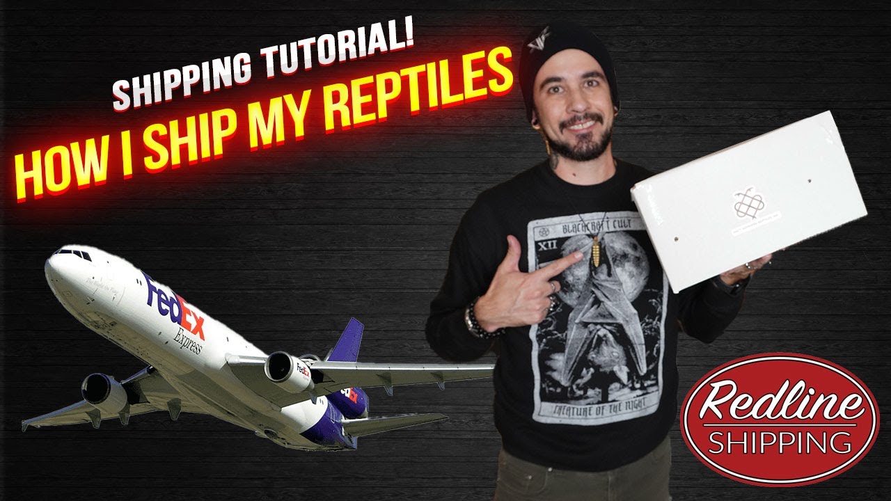 Shipping Tutorial! How I Ship My Reptiles! #Reptiles #BallPythons #Snakes