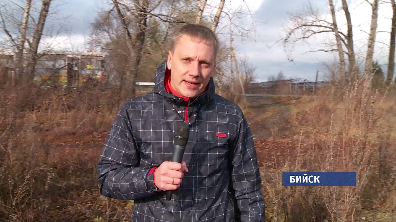 Что могло стать причиной жестокого убийства двух человек в Бийске?