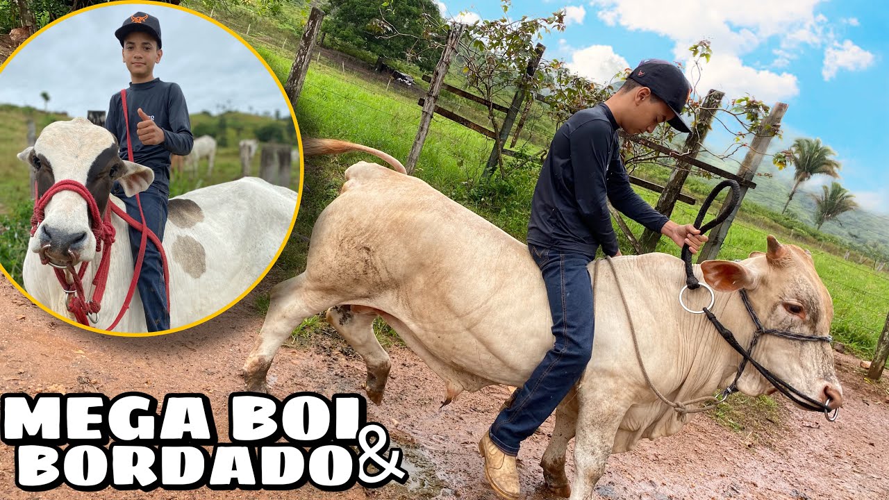 CRIANÇA DE 13 ANOS ANDANDO EM BOI DE SELA