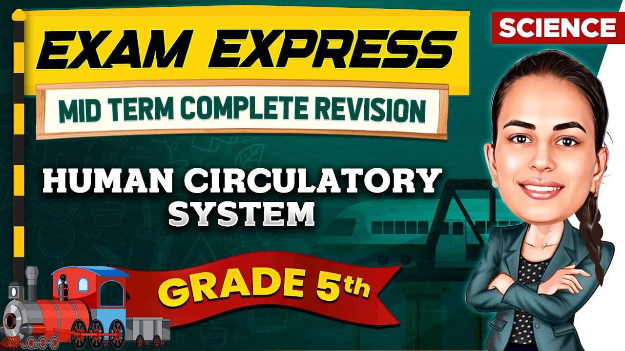Human Circulatory System || Midterm Revision For Class 5th || Exam Express