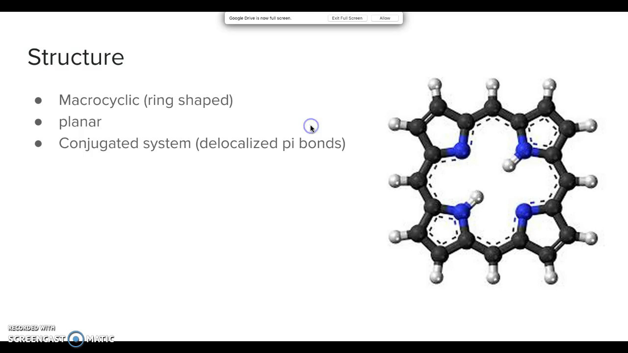 Porphyrin Rings