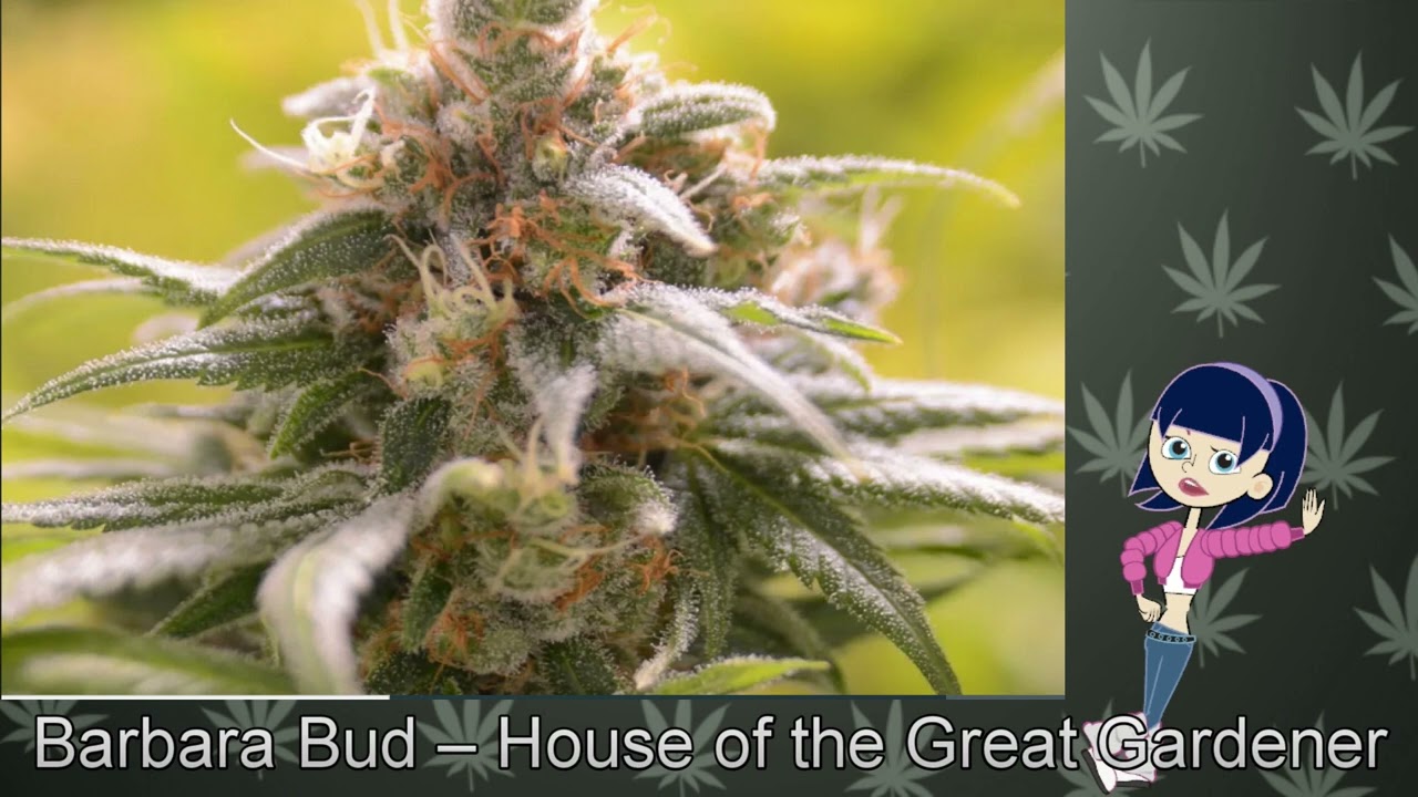 Barbara Bud &ndash; House of the Great Gardener
