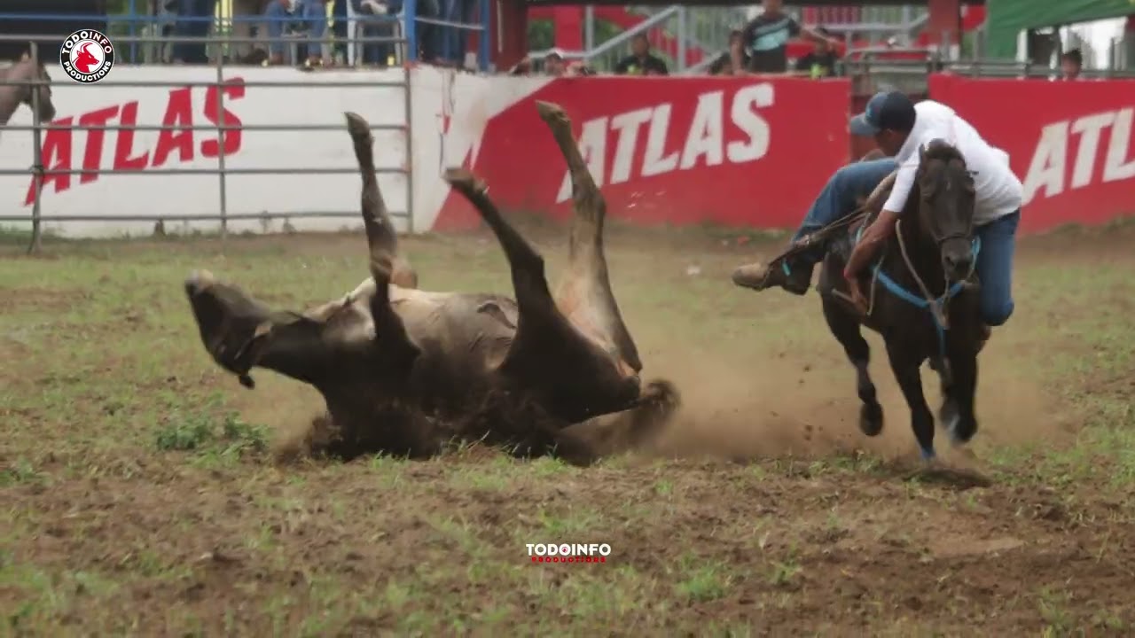 COPA DE COLEO 27 DE AGOSTO /III EDICI&Oacute;N-FIESTA DE JAIRO Y NAYROBI MONTENEGRO-EL SANTE&Ntilde;O LAS TABLAS