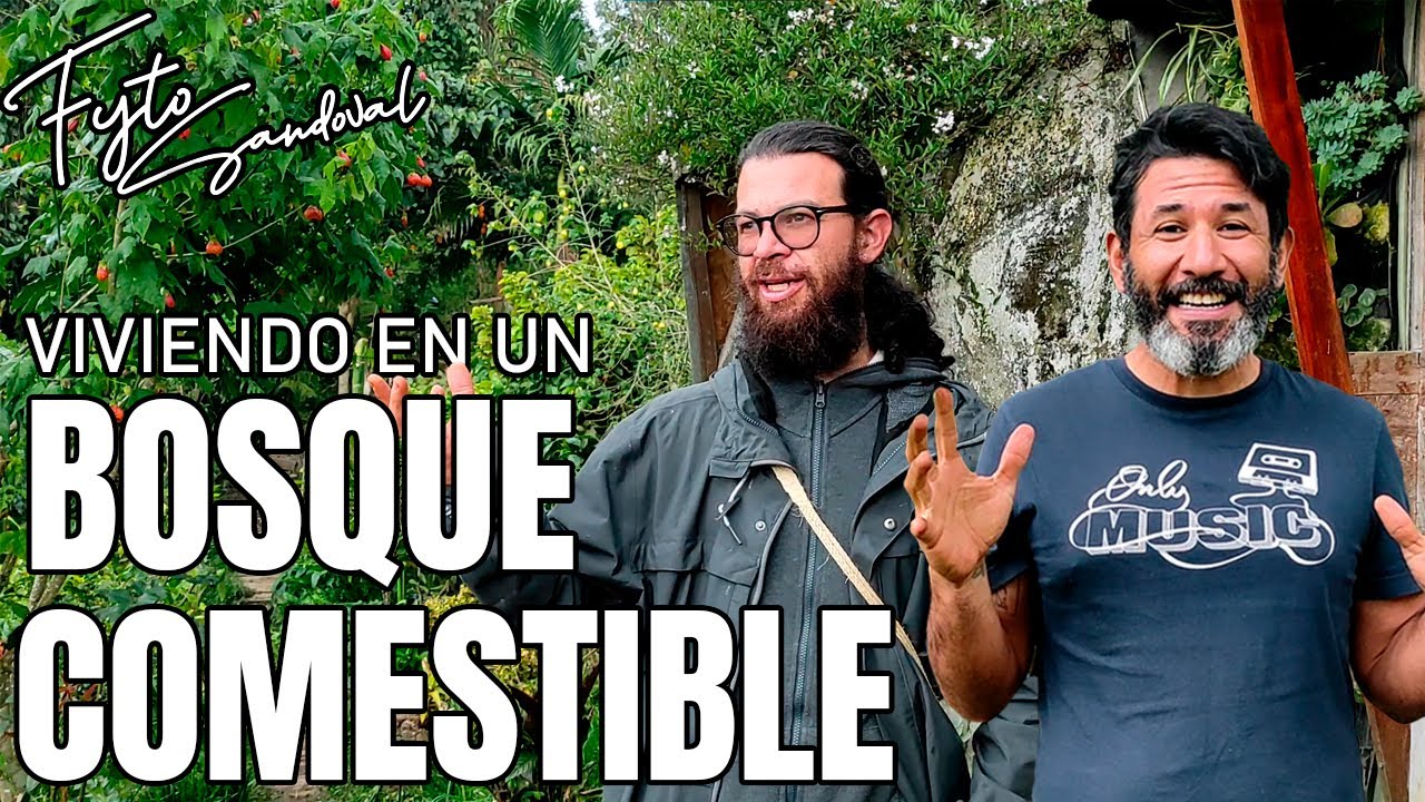 El hermoso Bosque comestible de Sergio Rojas