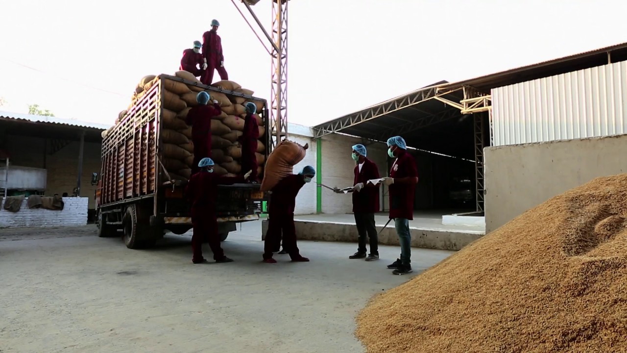 How Basmati Rice is Processed in Rajesh Industries Plant/Mill