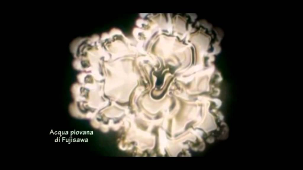 Emoto Peace Project