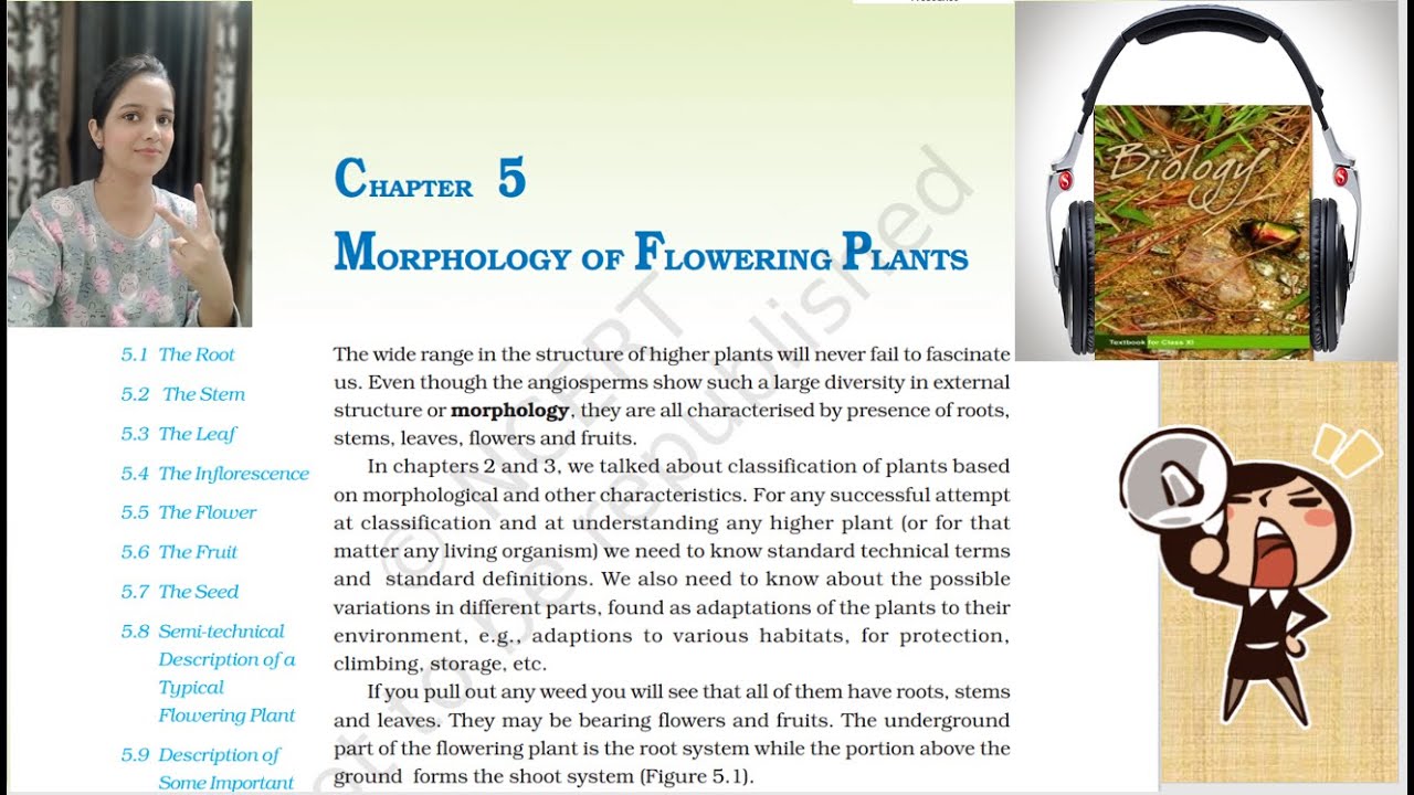 Class11 Ch5 Morphology of Flowering Plants NCERT Biology(Reading Only) | Biology Class 11Audio Books