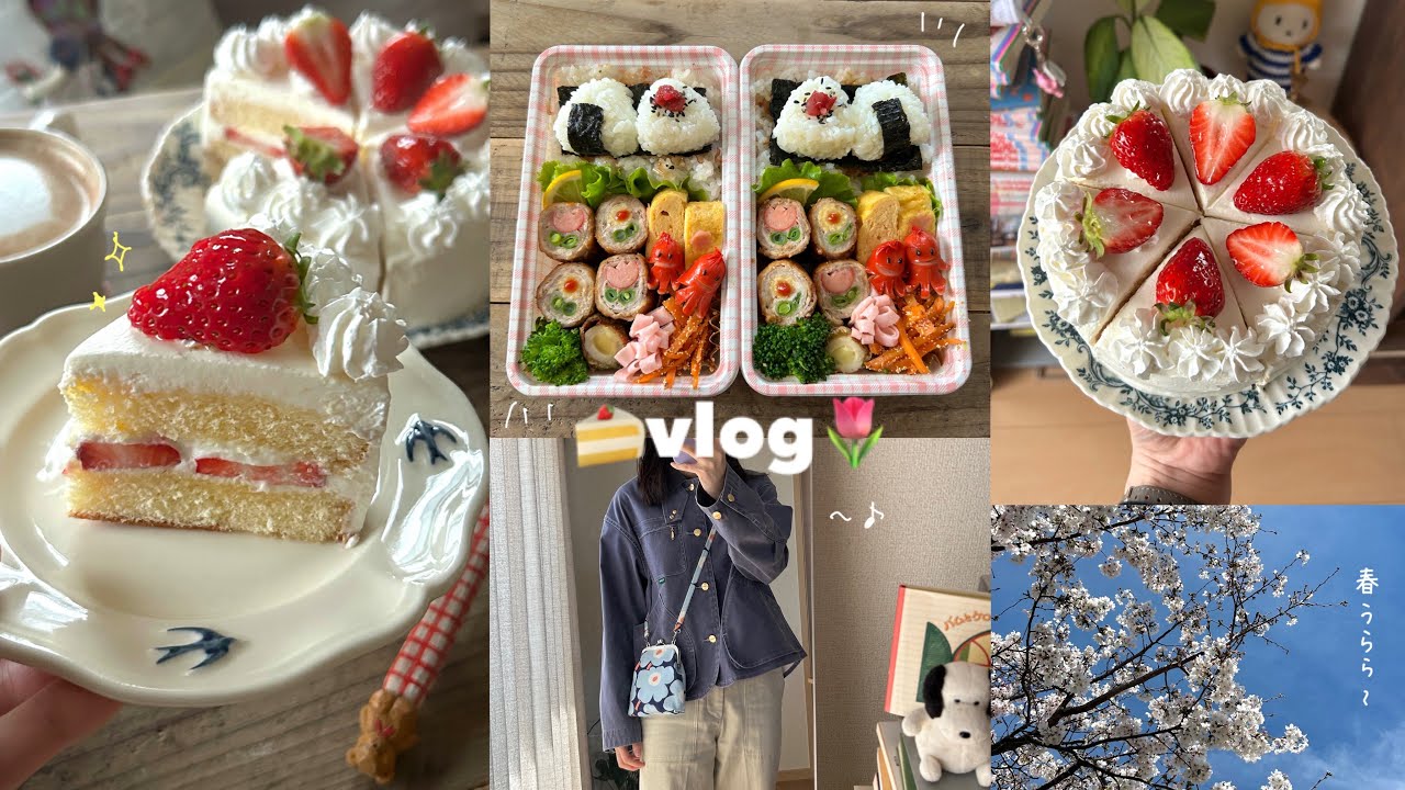 vlog》お腹も心も満たす社会人の暮らし🍰｜お花見お弁当・いちごのショートケーキ・トンテキ