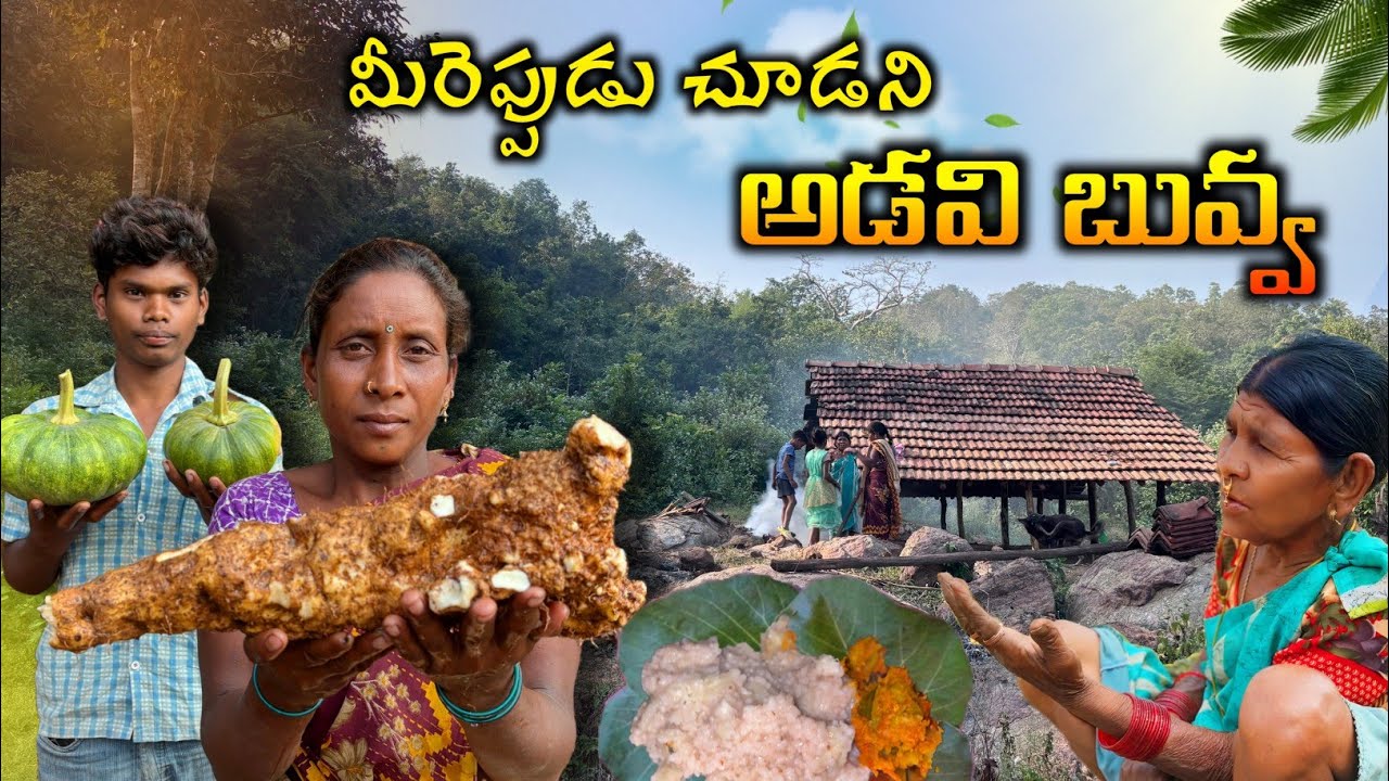 Food from Forest-Telugu village | అడవిదుంపలతో అన్నం వండటం ఎప్పుడైనా చూశారా ? @TribalMirror