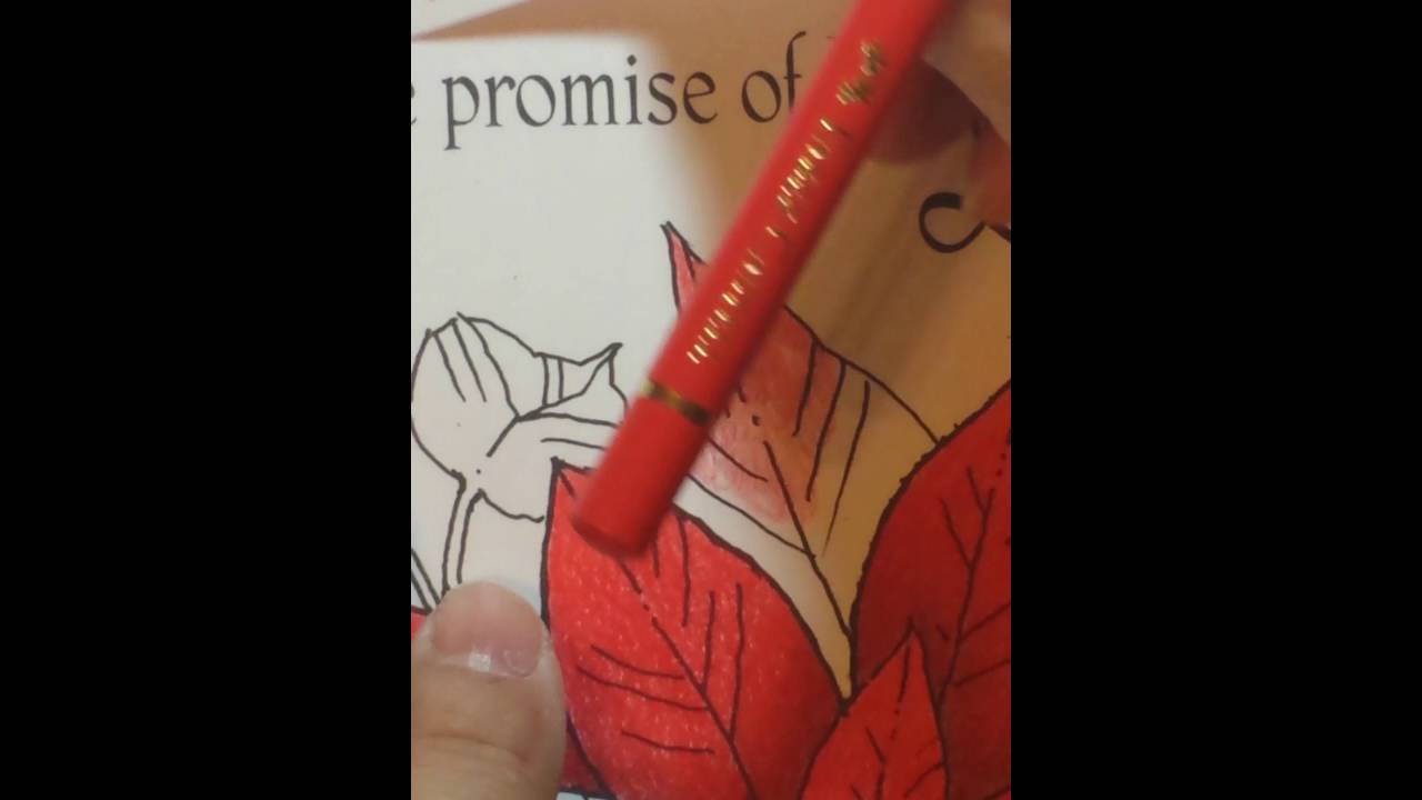 Coloring book blending Polychromos.