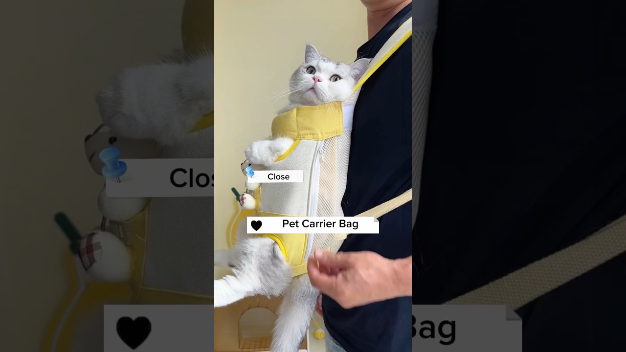 Pet Carrier Backpack, Link is on bio #cat #petkit #petsupplies