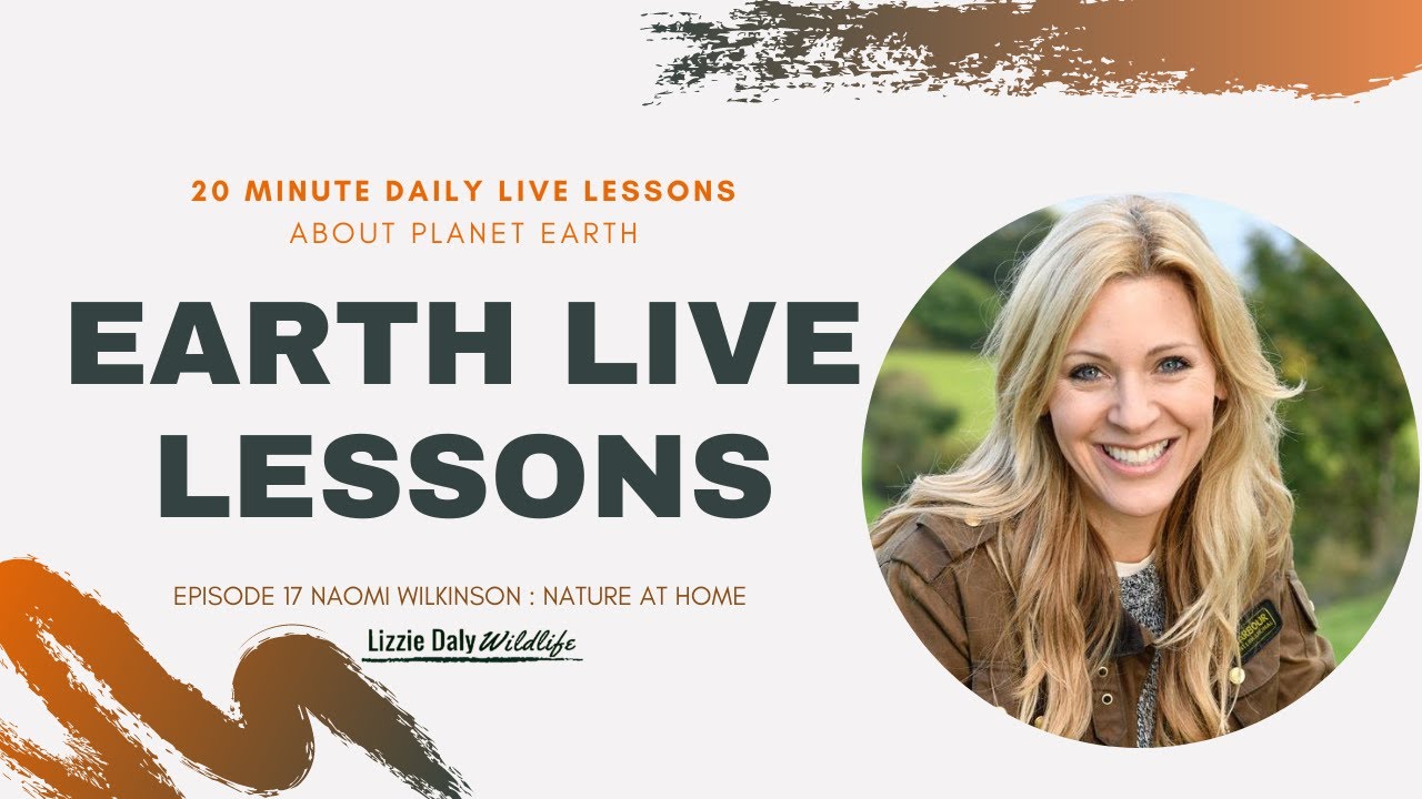 Earth LIVE Lesson with Naomi Wilkinson - Attracting wildlife to your patch