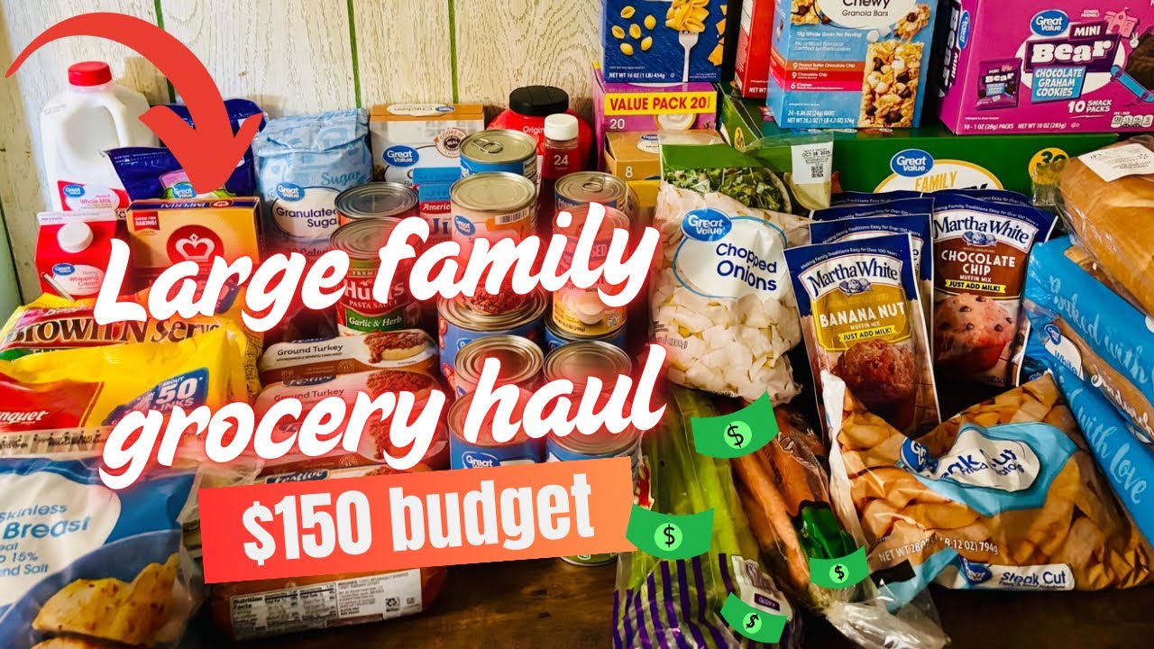 SMALL BUDGET LARGE FAMILY GROCERY HAUL