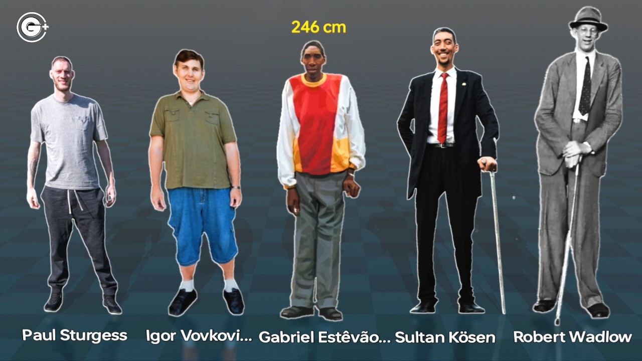 Tallest People in the World History