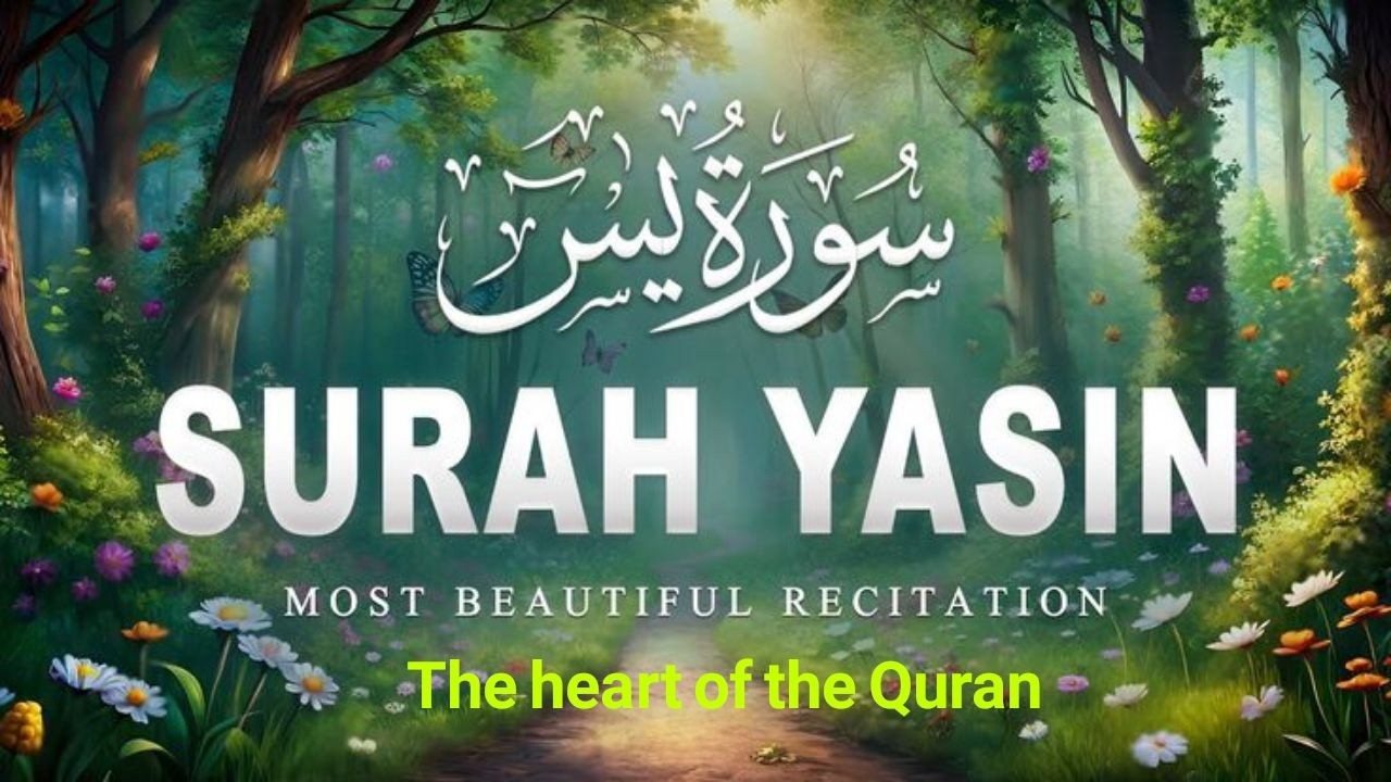 Surah Yaseen سورة يس | Soothing & Beautiful Recitation for Inner Peace by Alaa Aqel Quran for Sleep