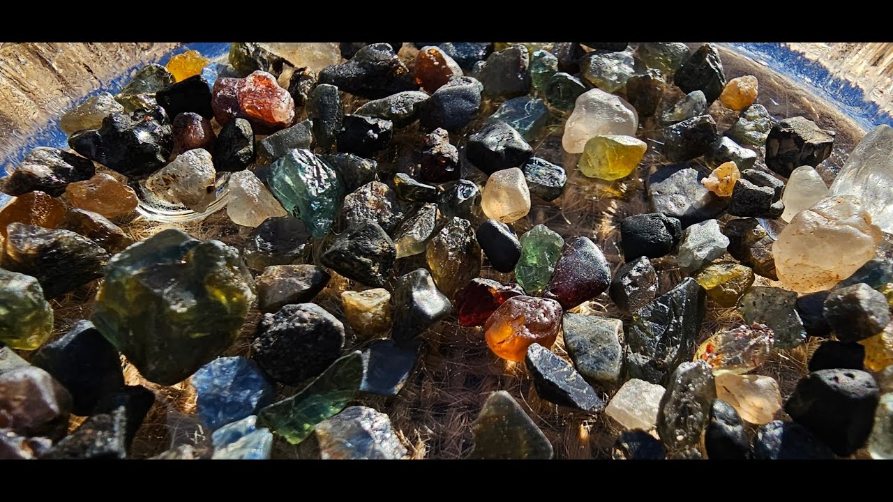 Sapphire fossicking at the QLD Gemfields