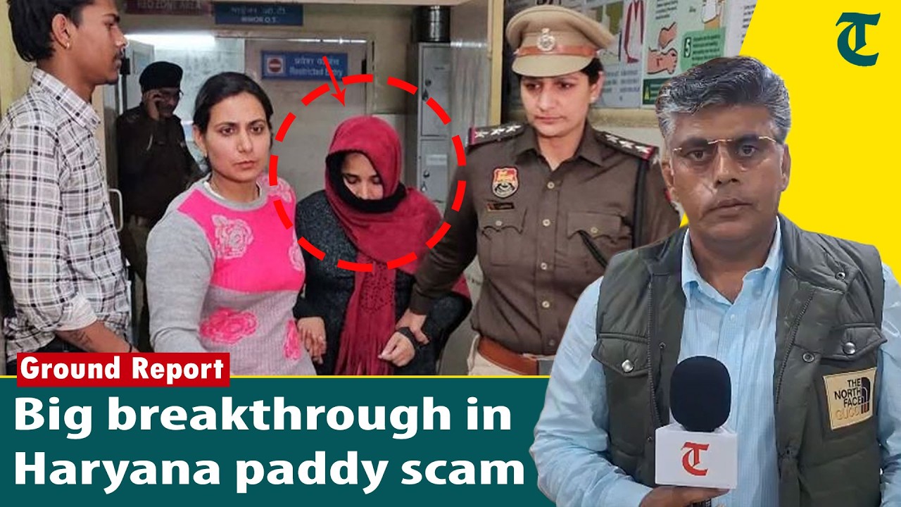 Haryana paddy scam: Fake gate passes, bogus records, 4 in police net