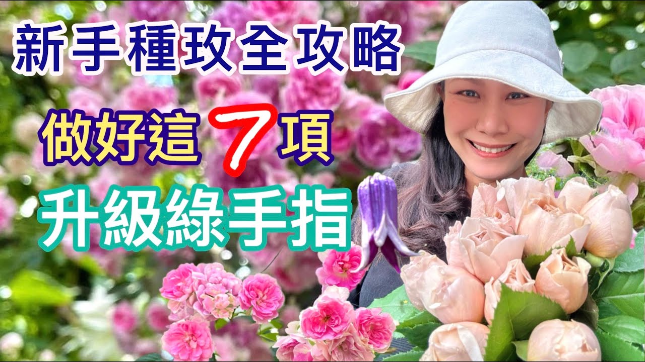 【保存版】如何種好玫瑰！介質澆水控水修剪下肥…息息相關問題一舉說明！包含扦插方式#erin玫瑰花園 
