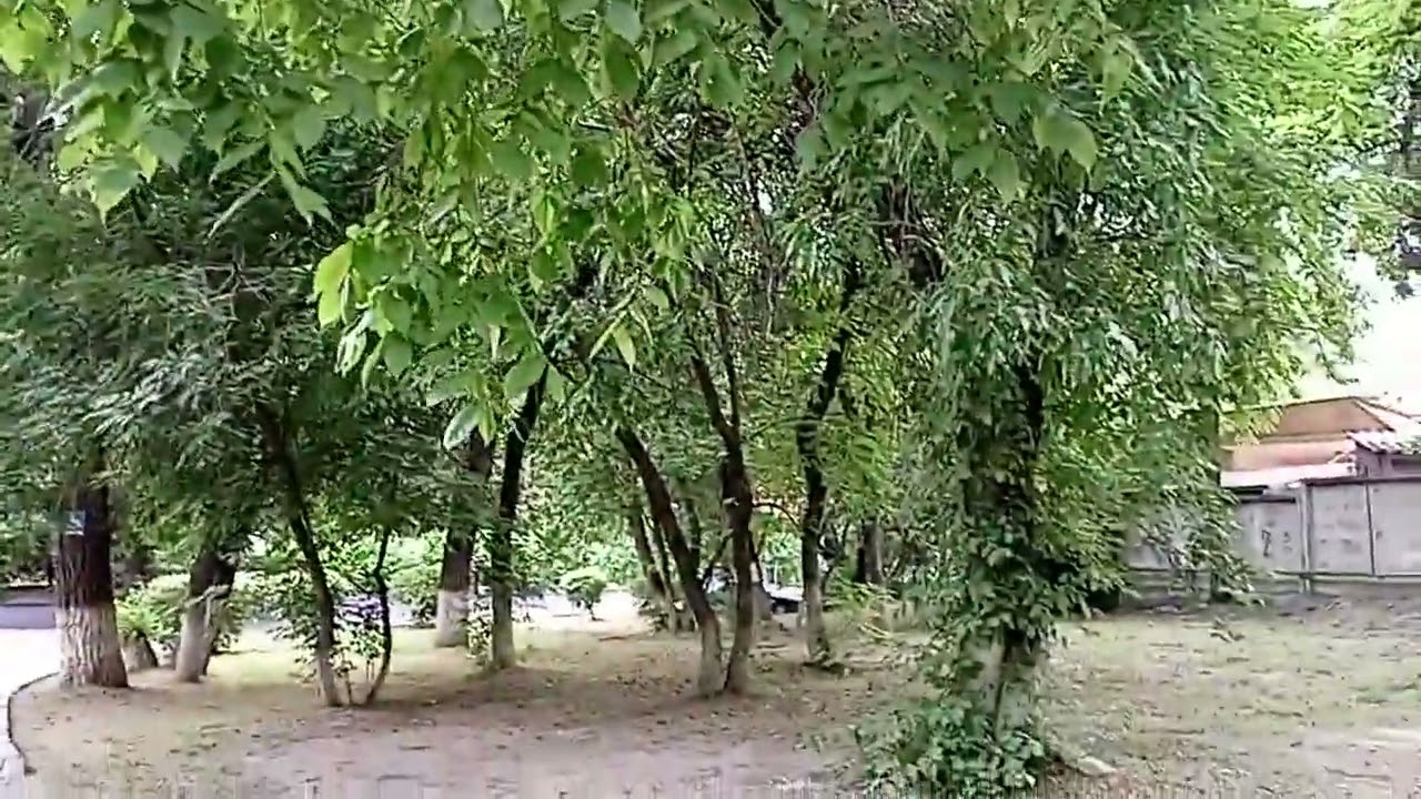 14 Пансионат Каргалы MED Алматы 25 06 2023