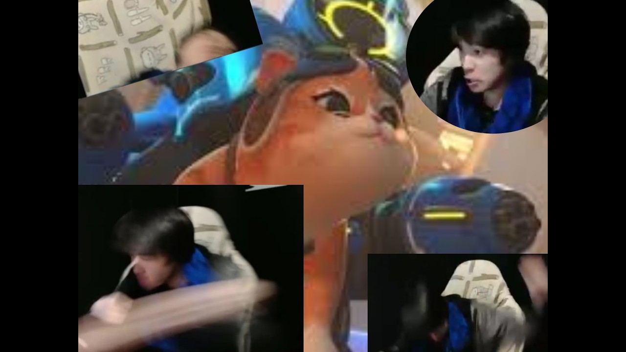 【神回】ドブ・キャット 襲来 　【OW】
