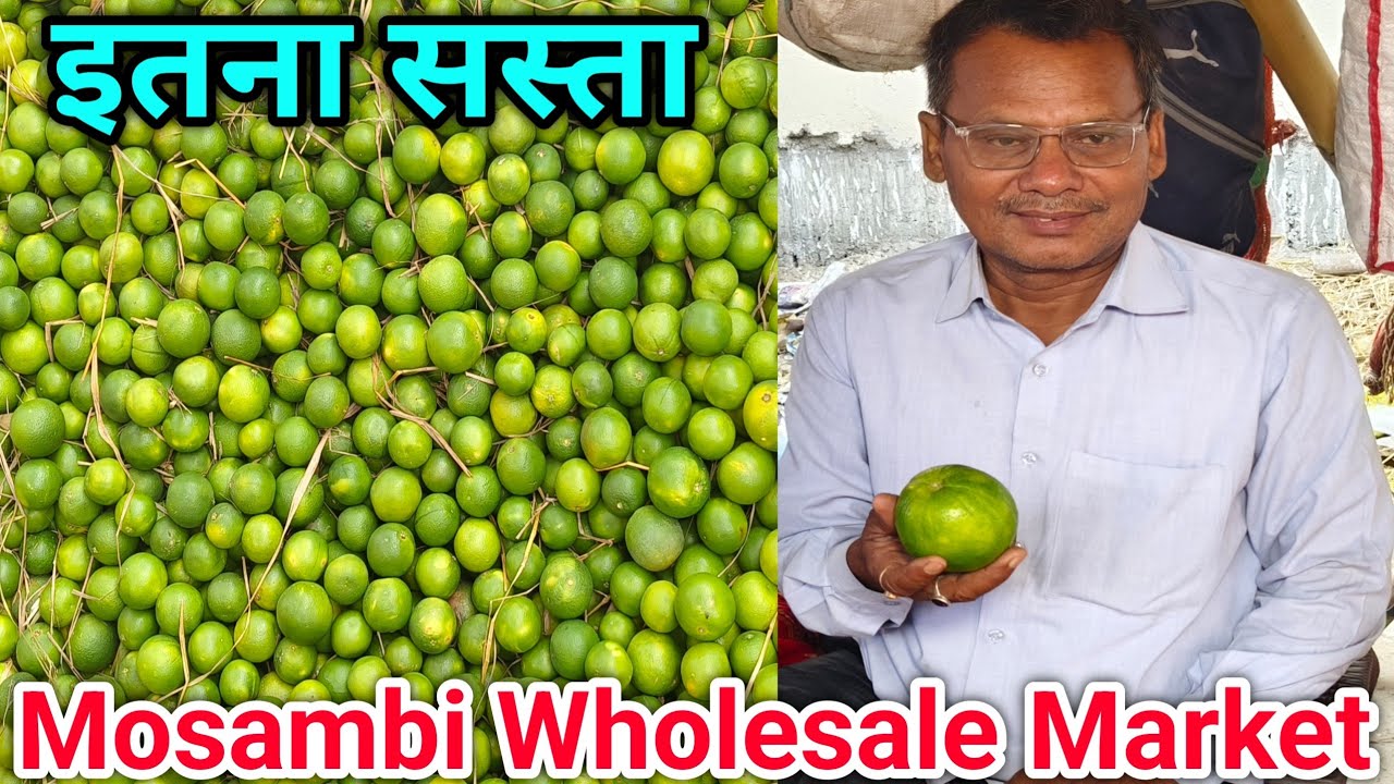 Mosambi Wholesale Market In Patna | पटना का सबसे बड़ा फल मंडी | Fruit Market | Biggest Fal Mandi