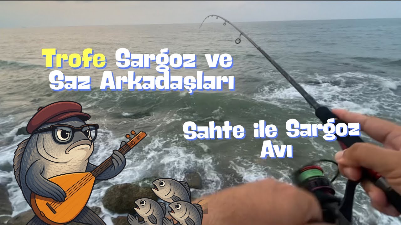 LRF  Sahte ile Trofe Sargoz Avı Mersin  / Kıyıdan At Çek Balık Avı / Hanfish Zıpır Bal Karides