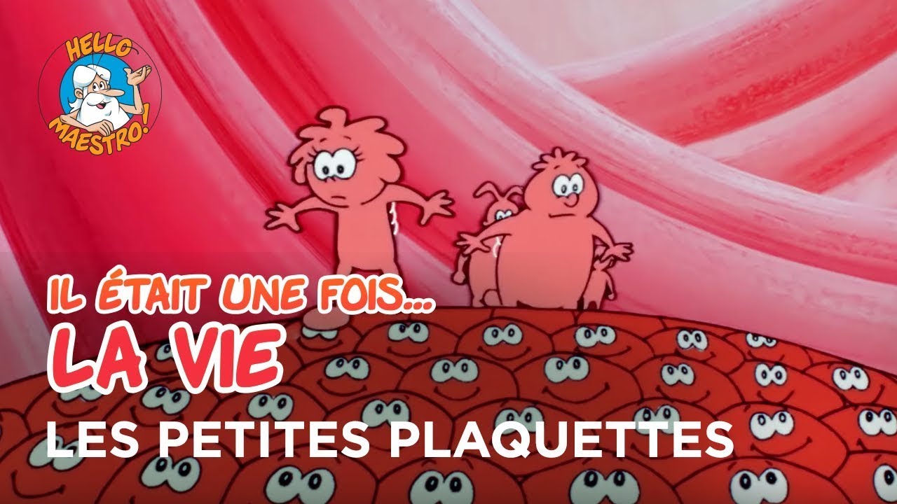 Il &eacute;tait une fois&hellip; la Vie 🌱- Les petites plaquettes 🧪