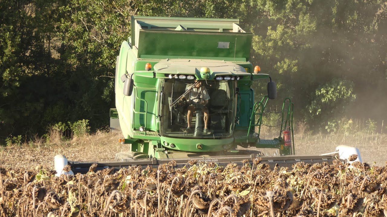 Moisson du tournesol 2024 | John Deere T560i & Moresil GB 600