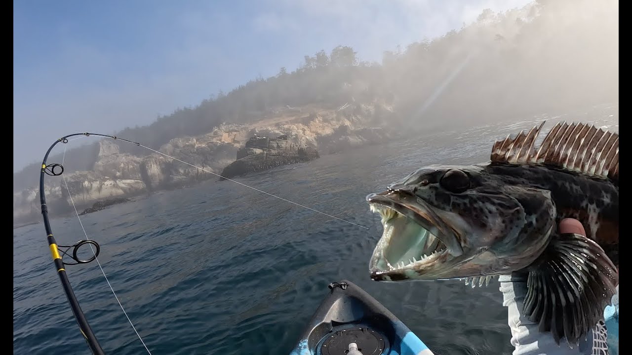 Northern California Rockfish and Ling from the Kayak
