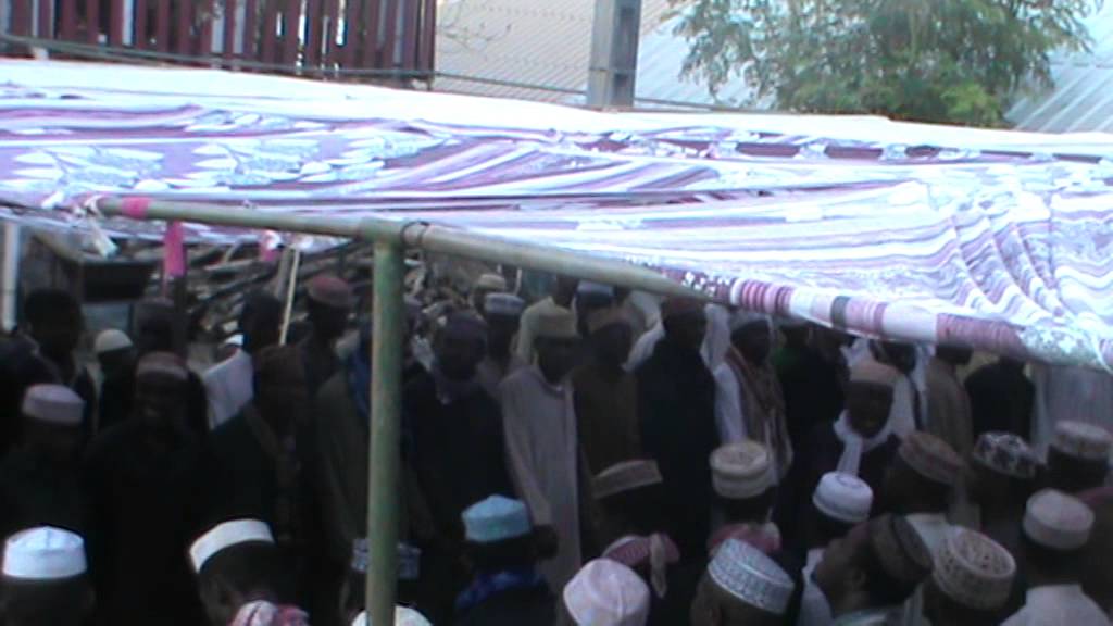 DAHIRA CHICONI 2015