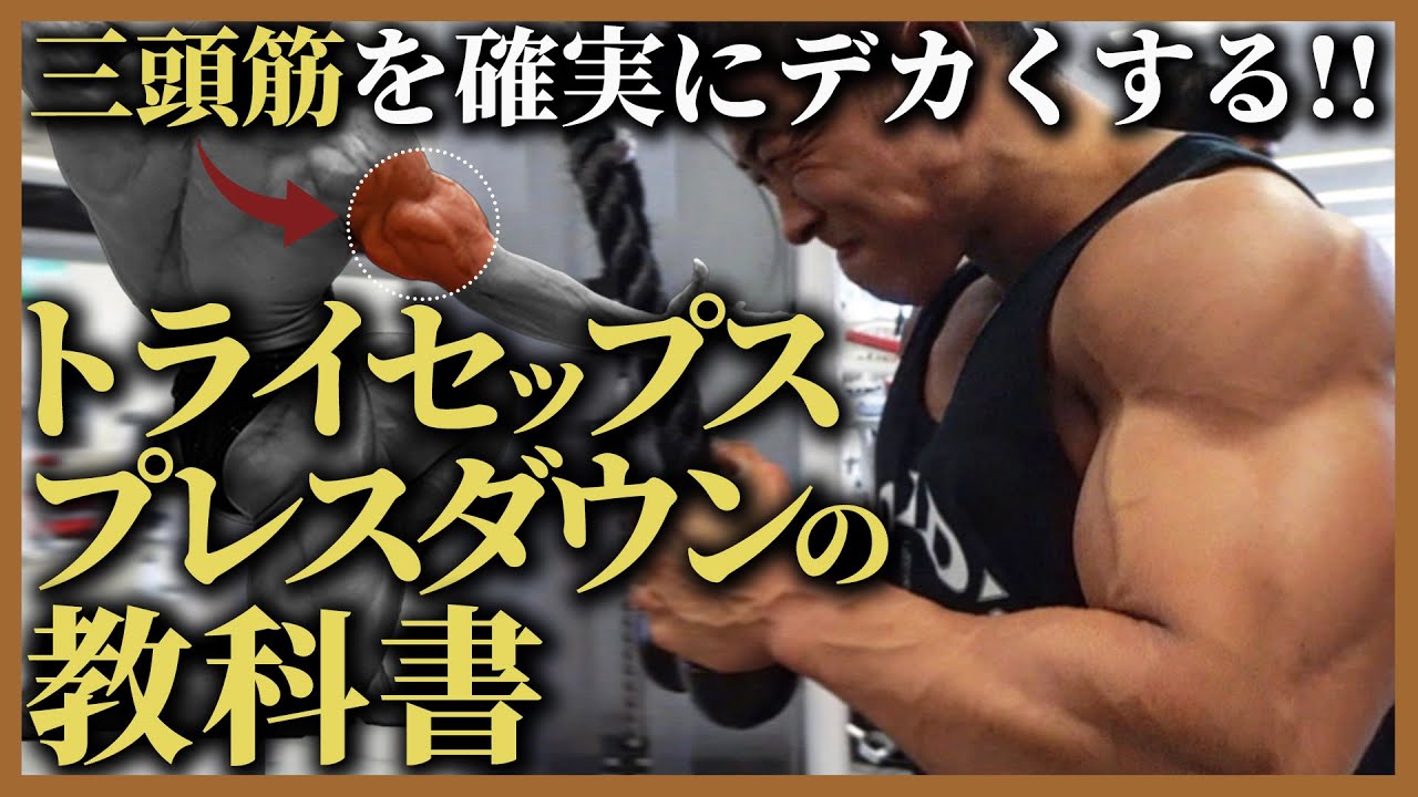 【ボディビル日本一が徹底解説!!】上腕三頭筋を確実にデカくするプレスダウンの正しいやり方