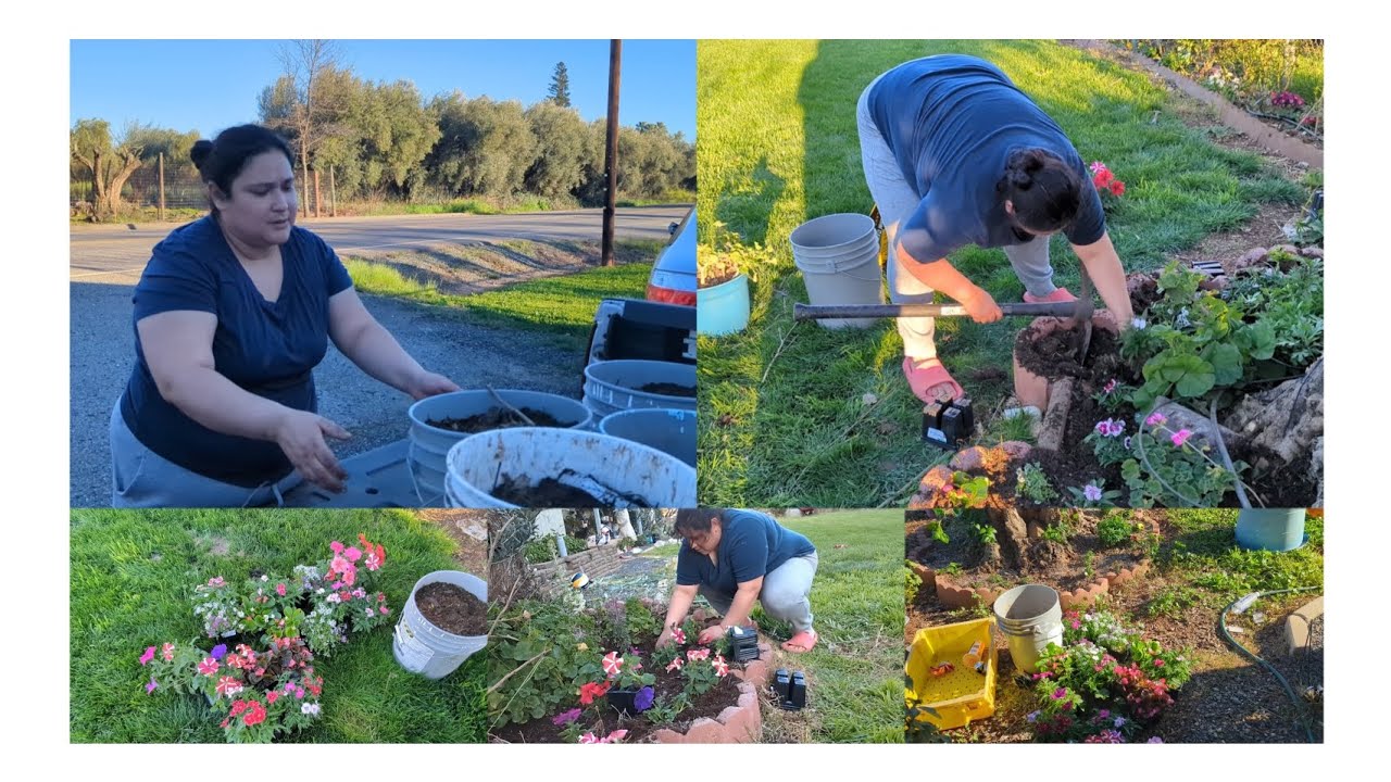 Empezando el jardín de flores del 2024