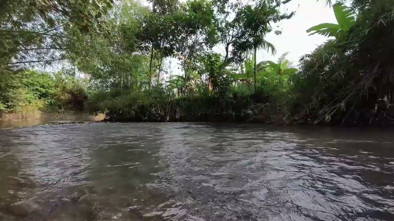 “Relaxing River Flow in Fresh Nature | Sleep ASMR”