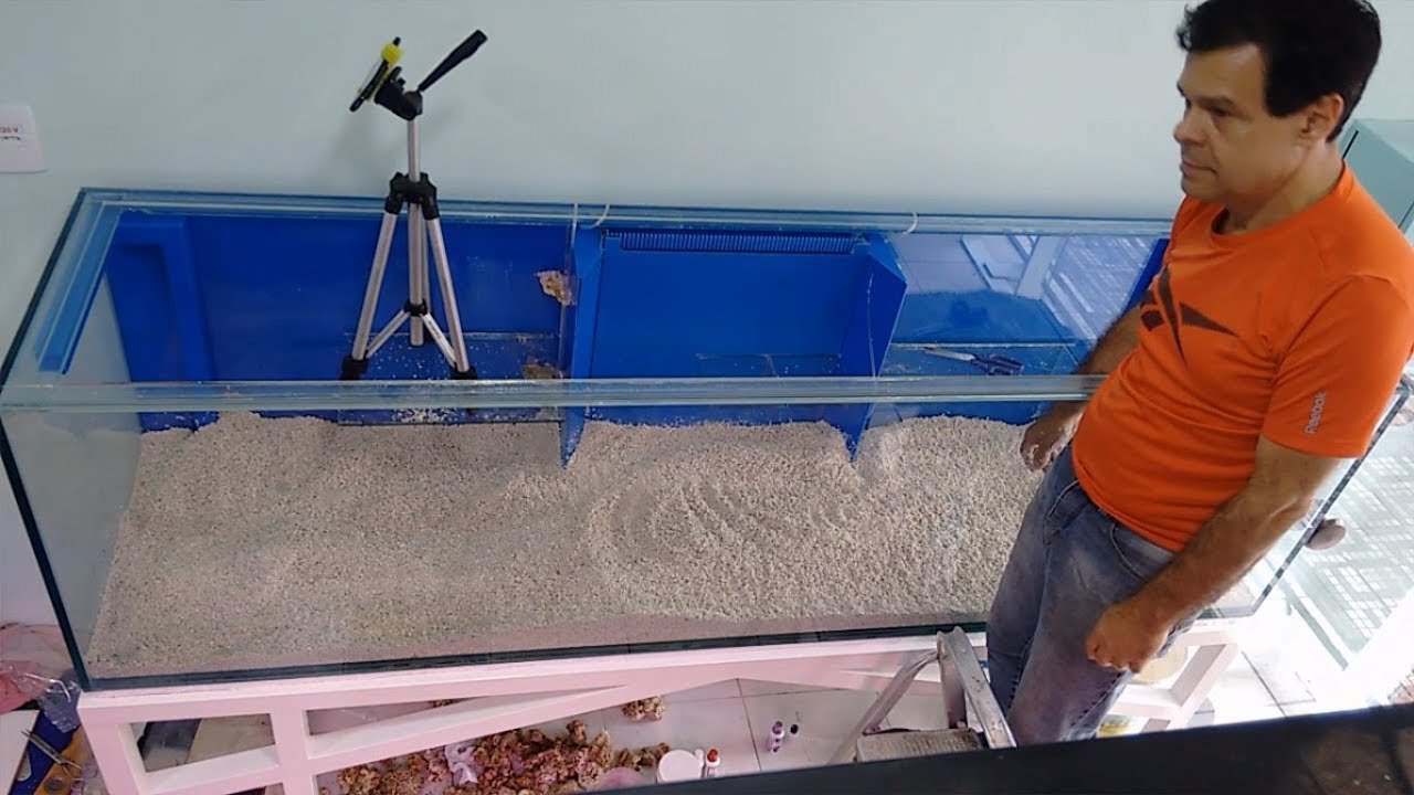 Montando o Sistema Jaubert na Grande Praia da Aquashow - Nasce um Novo Planeta - Aquashow - Parte 63