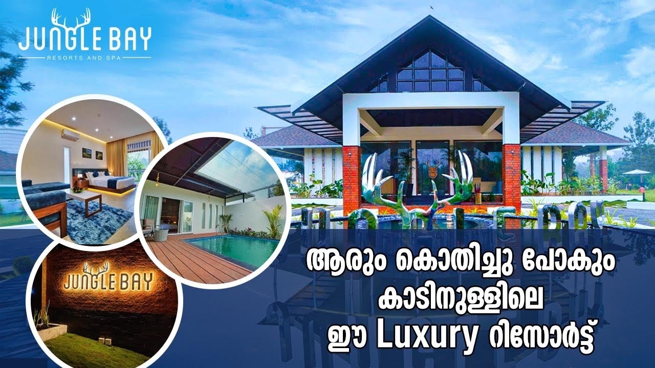 Jungle bay resort & spa | Private pool villa,tree house,jacuzzi |