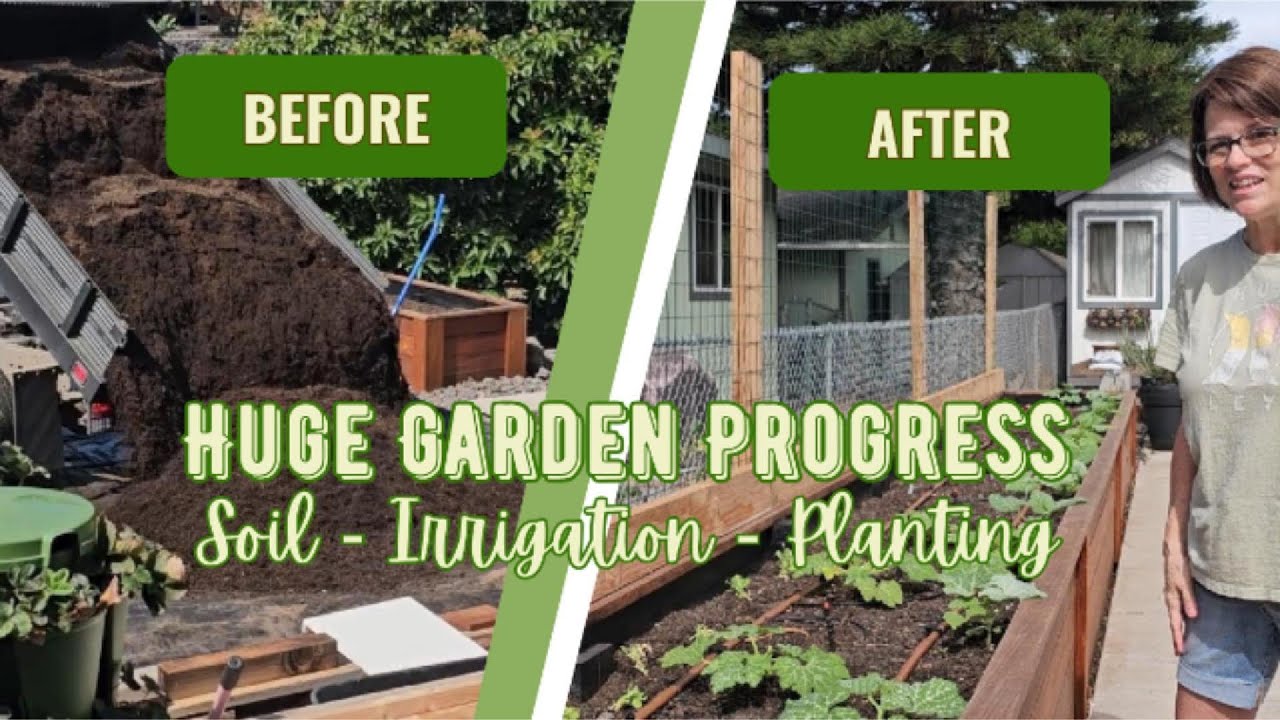 Huge Front Yard Raised Garden Progress! Soil, Irrigation, & Planting Days - Episode 13
