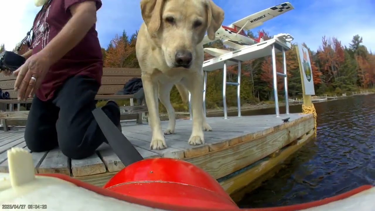 Elmah Dud takes his first ride on the FMS Beaver with floats at Wildfox