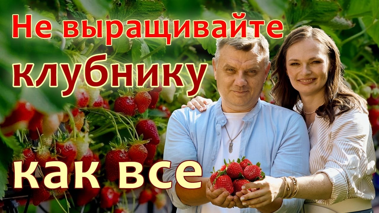 Хитрости для клубники, которые вам не скажут